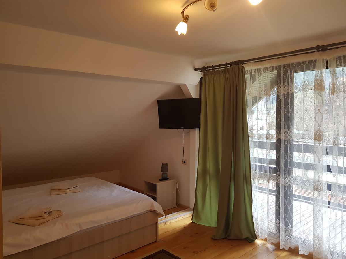 Casa Teodor Rucar Casa De Oaspeti Εξωτερικό φωτογραφία